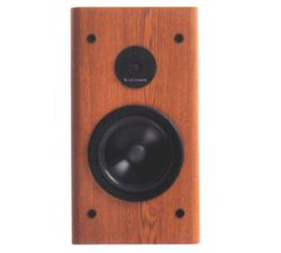 REFERENCE RS 3001 - Black - 2-Way 100 Watt Speaker - Hero